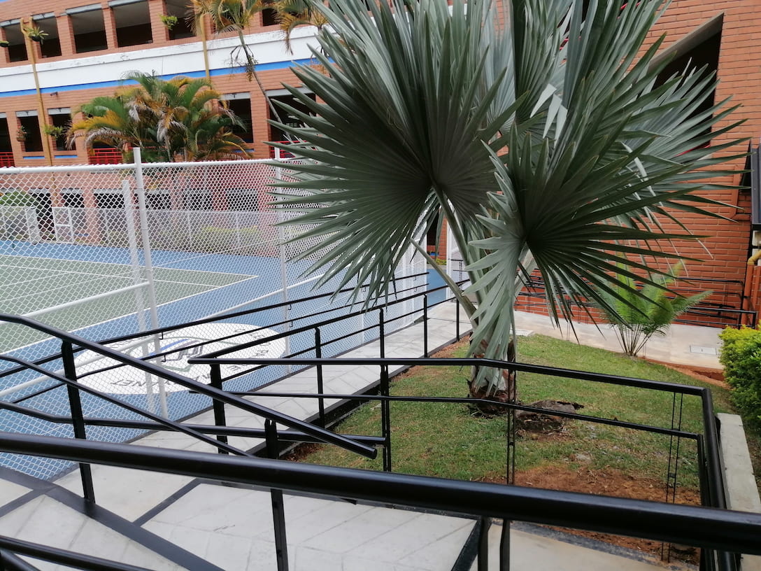 colegio manyanet MEDELLÍN rampa